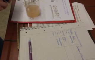 Experimentierworkshop Chemie Böschen 2019